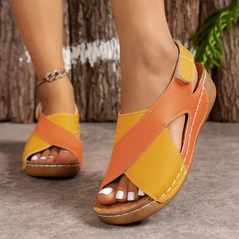 Jaune/Orange / 43